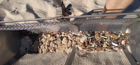 Beach sampling in Tunisia