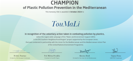 Certificate for champion of plastic prevention 