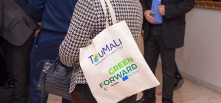 3rd International TouMaLi Conference