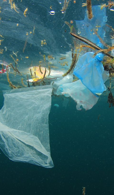 Plastic in the ocean