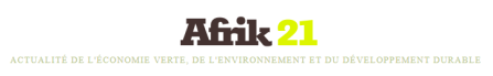 Afrik 21