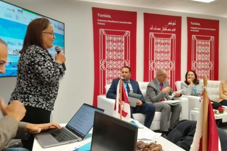 CITET (Lilia) presenting the TouMaLi project 