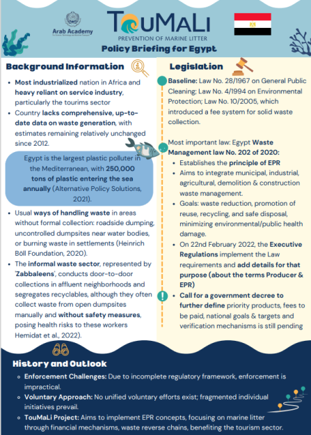 First page of the policy factsheet egypt 